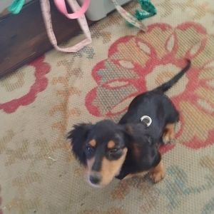 Meet your Posher, Skylar